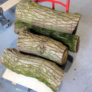 Oak logs ready for making into boot and coat racks